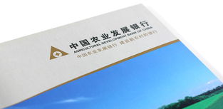 淄博畫冊設(shè)計與品牌形象塑造 輝盛企業(yè)形象設(shè)計公司的專業(yè)服務(wù)