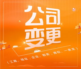 一站式企業(yè)服務(wù)指南 羅湖公司注冊、代理記賬與深圳工商事務(wù)全解析
