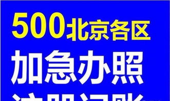 專業(yè)護(hù)航 從北京公司注冊到財稅管理的全方位企業(yè)服務(wù)指南